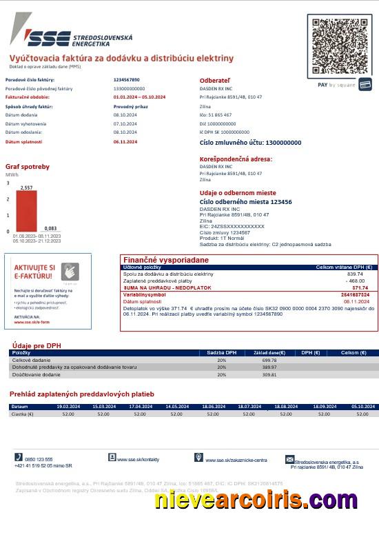 Slovakia Stredoslovenka Energetika business utility bill